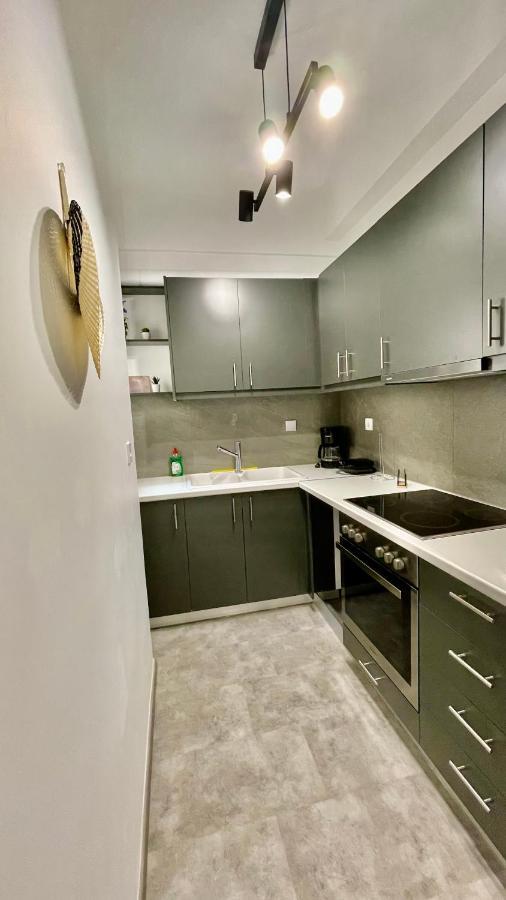 Gorgeous Renovated Apt. Close To Metro And Cultural Sites! Athen Exterior foto