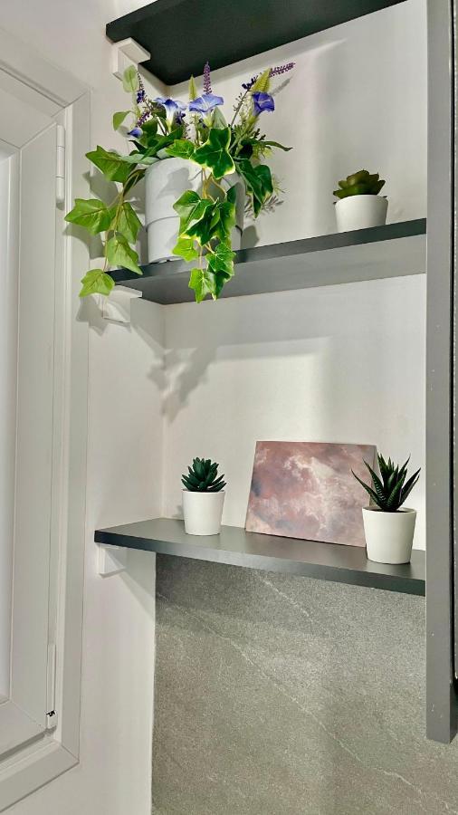 Gorgeous Renovated Apt. Close To Metro And Cultural Sites! Athen Exterior foto